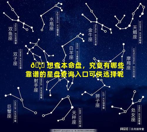 🦉 想查本命盘，究竟有哪些靠谱的星盘查询入口可供选择呢